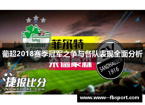 葡超2018赛季冠军之争与各队表现全面分析 葡超2018赛季冠军之争与各队表现全面分析